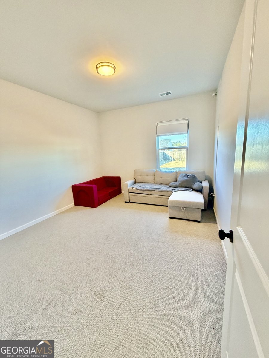 229 Begonia Way McDonough - Photo 17