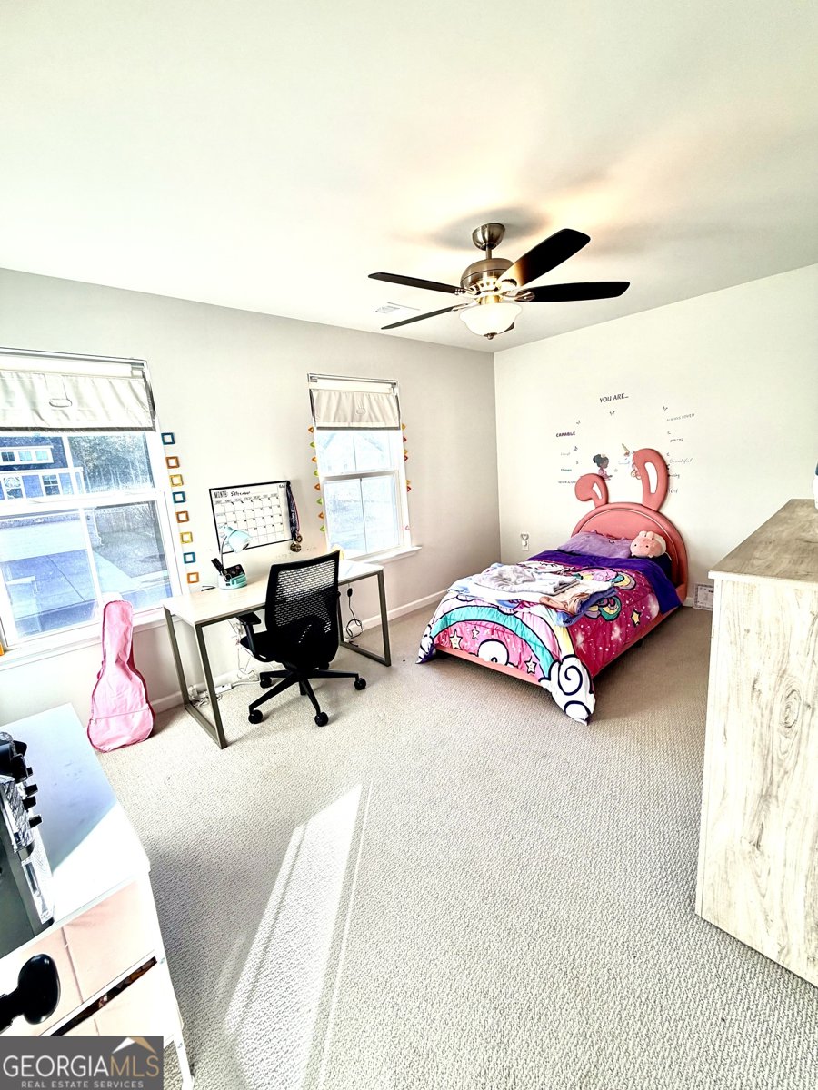 229 Begonia Way McDonough - Photo 27