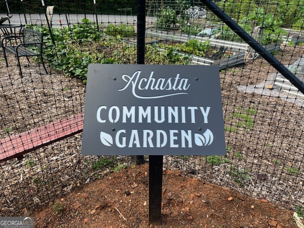 533 Birch River Drive Dahlonega - Photo 63