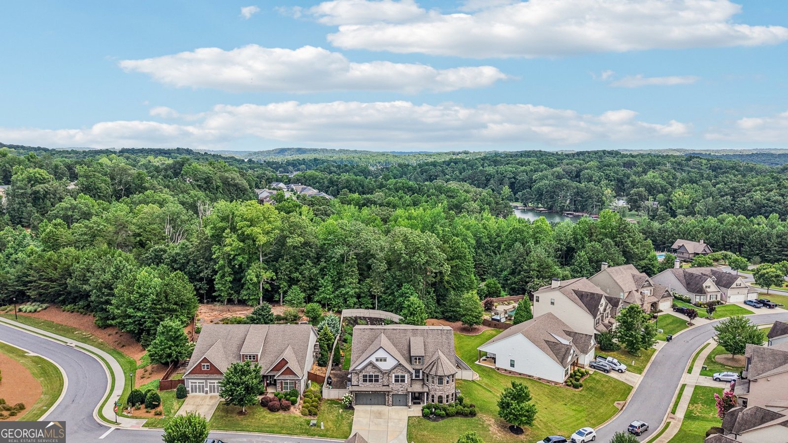 17 Lake Sydney Drive Dawsonville - Photo 78