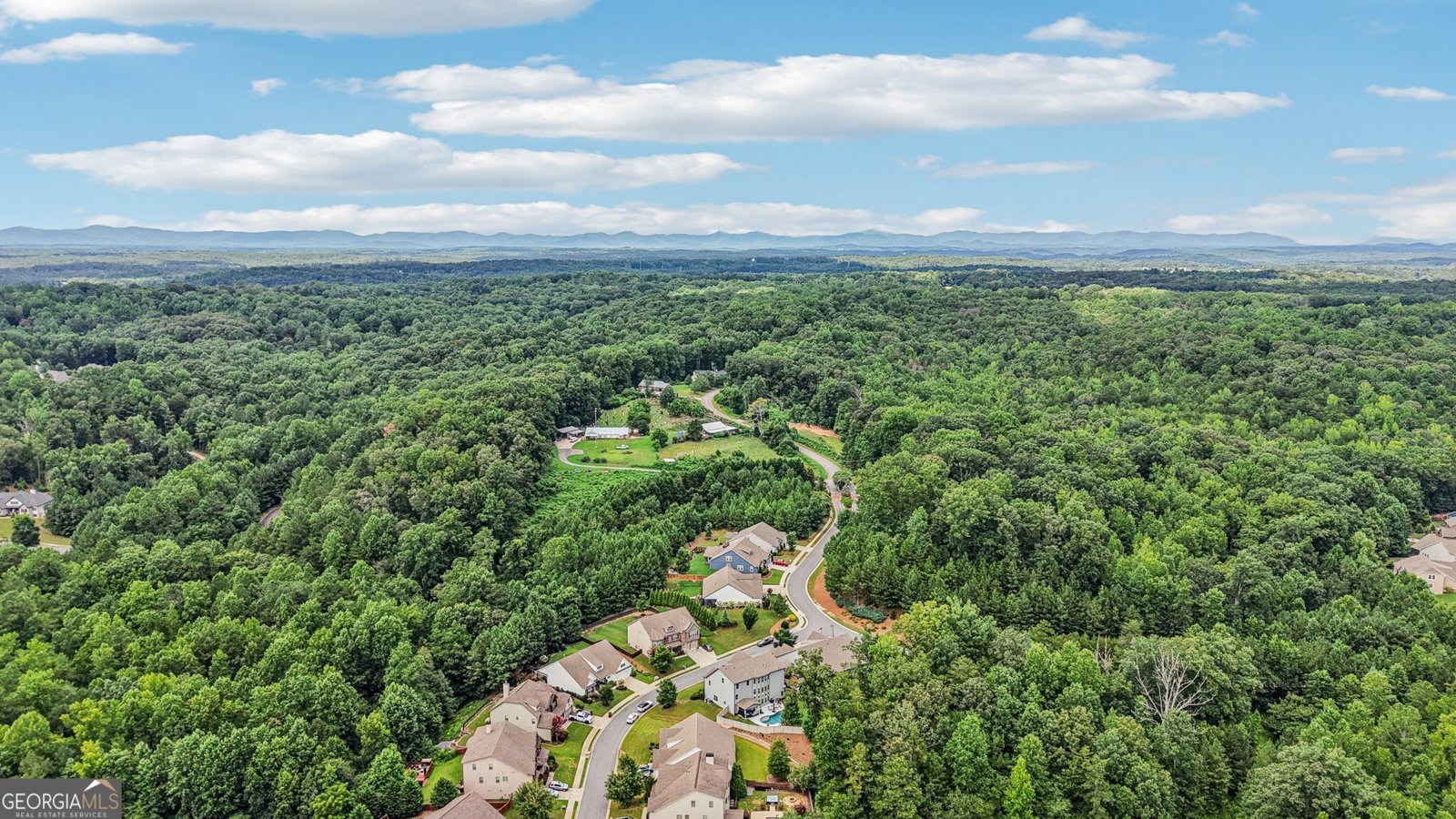 17 Lake Sydney Drive Dawsonville - Photo 85