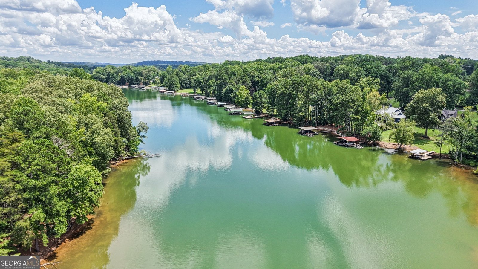 17 Lake Sydney Drive Dawsonville - Photo 94