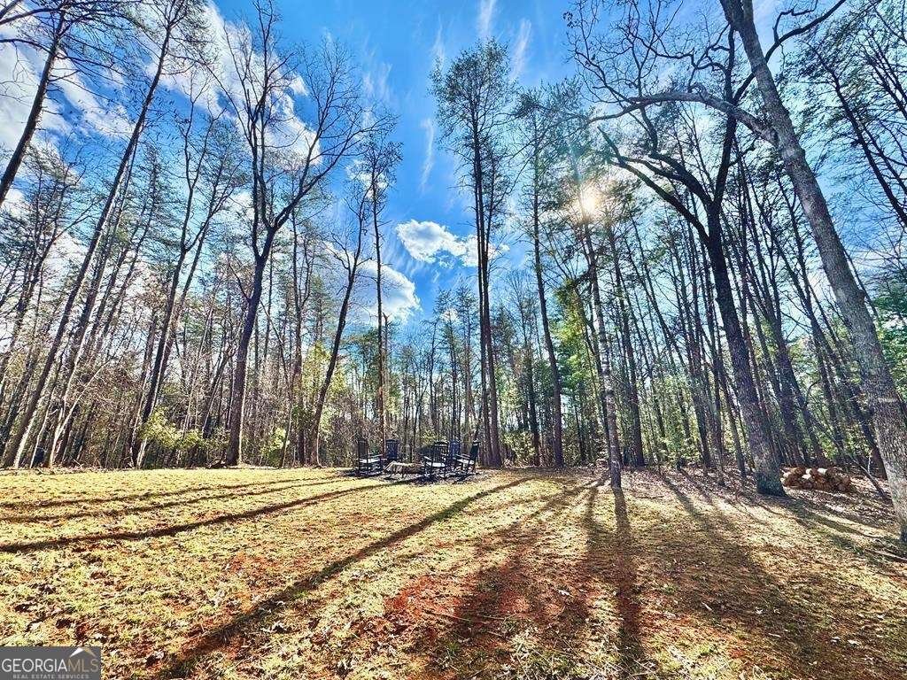 1001 Sunset Road Epworth - Photo 19