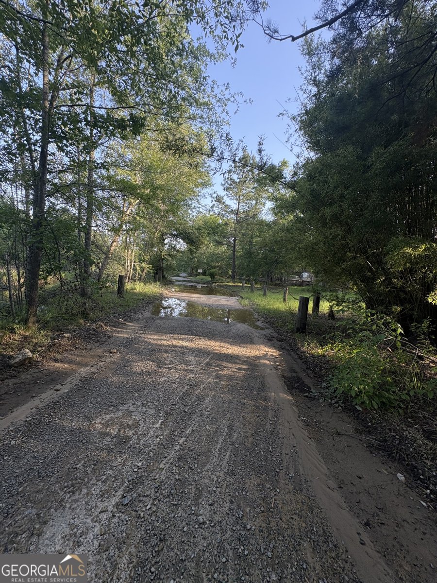 4674 Coleman Bridge SPUR Cobbtown - Photo 11