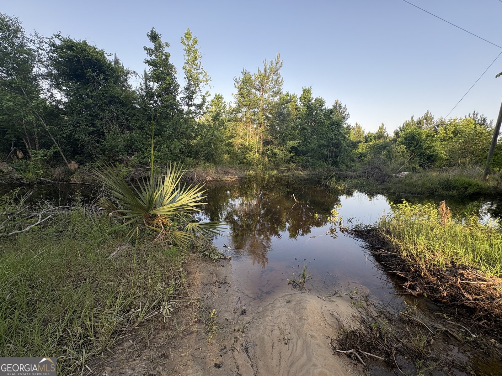 4674 Coleman Bridge SPUR Cobbtown - Photo 13