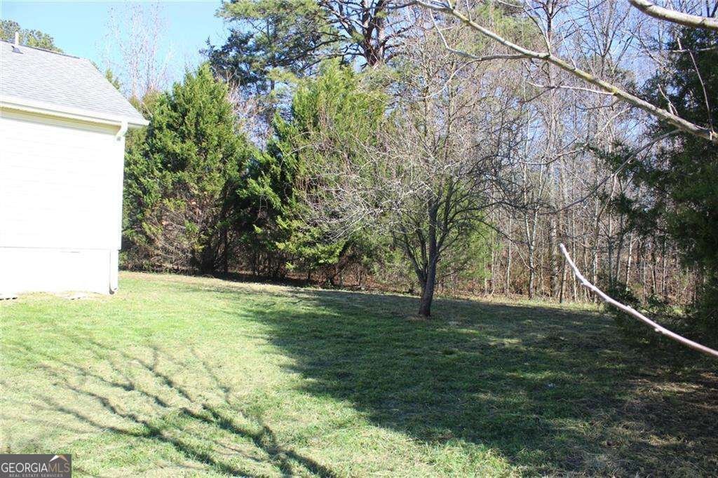 2851 Bowman Highway Bowman - Photo 23