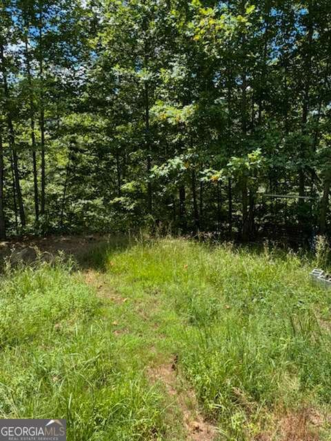 220 Friendship Trail Talking Rock - Photo 12