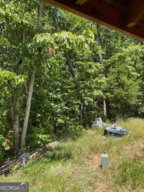 220 Friendship Trail Talking Rock - Photo 18