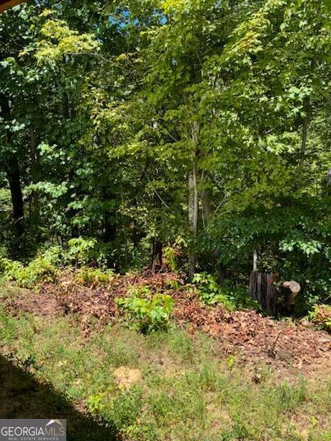 220 Friendship Trail Talking Rock - Photo 19