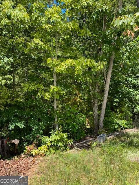 220 Friendship Trail Talking Rock - Photo 20