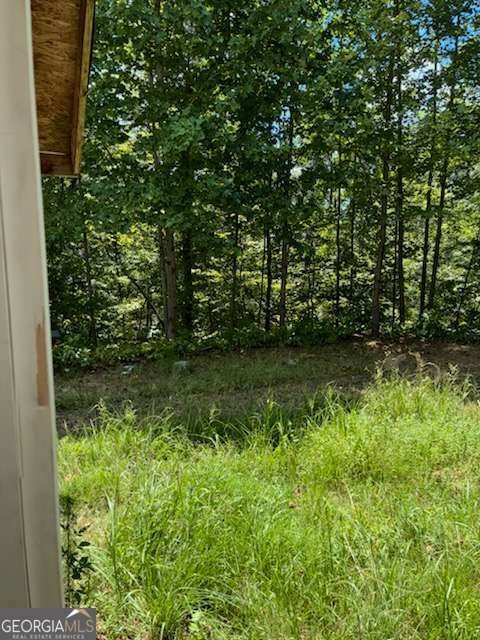 220 Friendship Trail Talking Rock - Photo 23