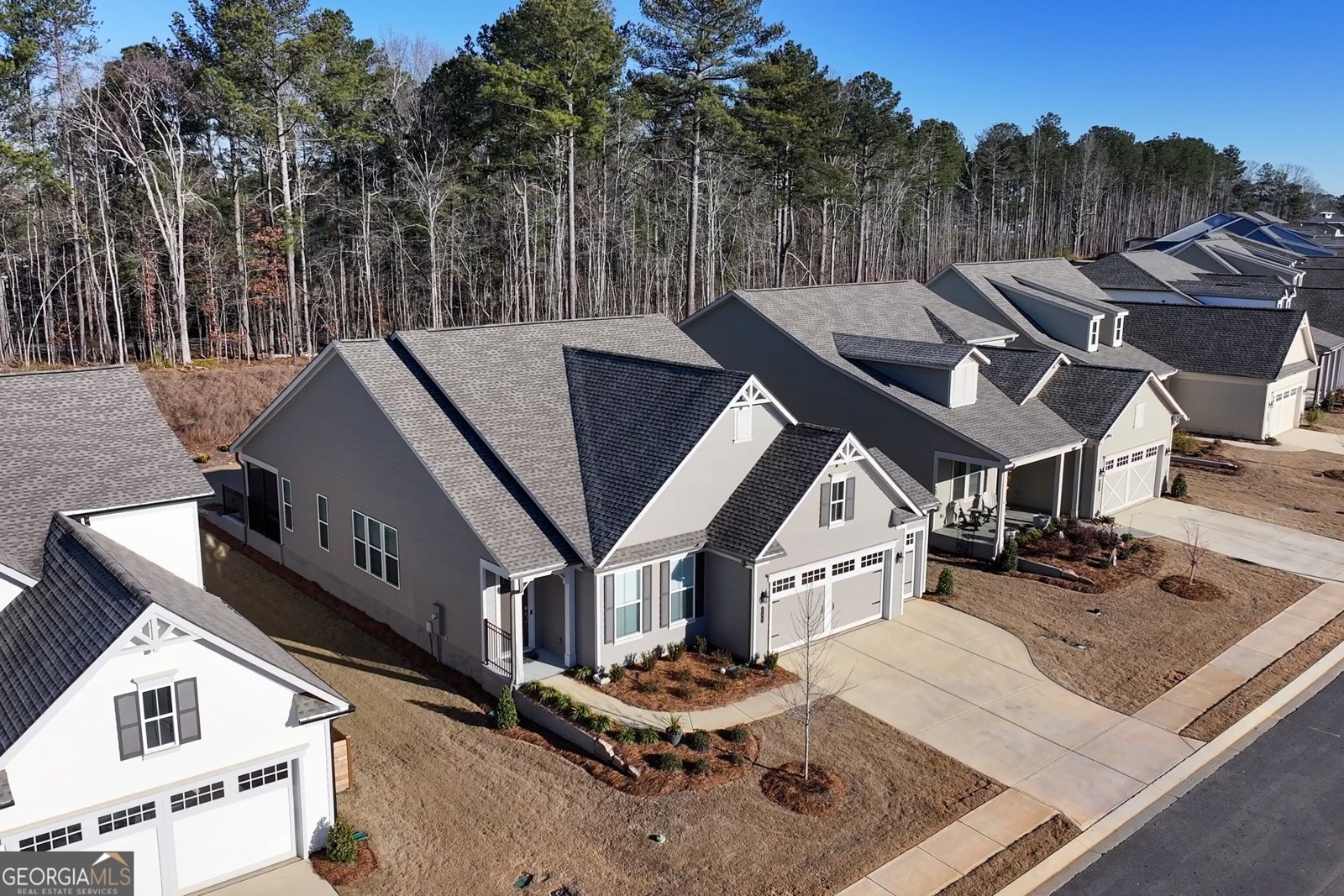 226 Geneva Way Hoschton - Photo 39