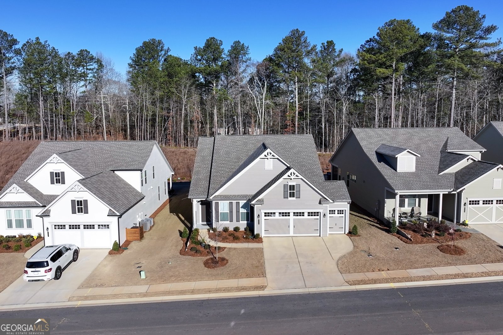 226 Geneva Way Hoschton - Photo 40