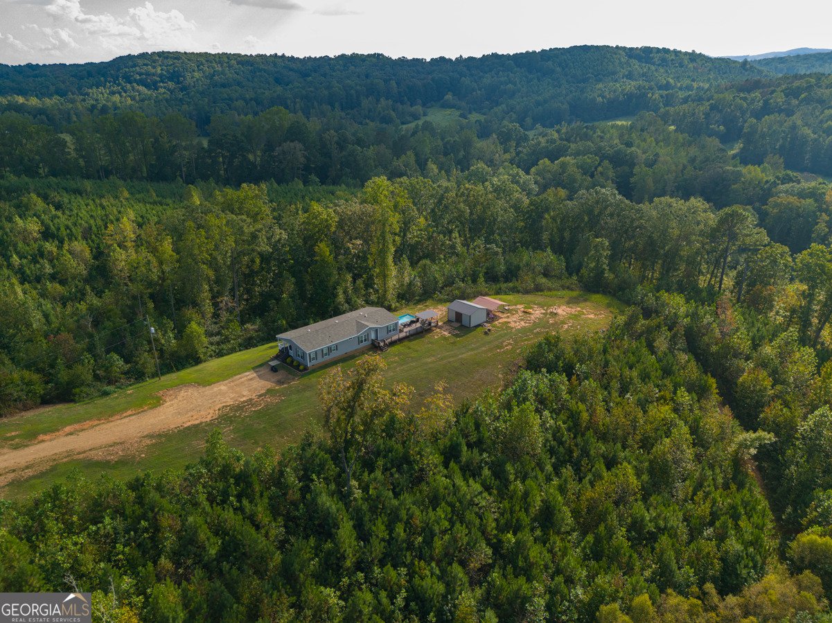 28 County Road 63 Ranburne - Photo 40