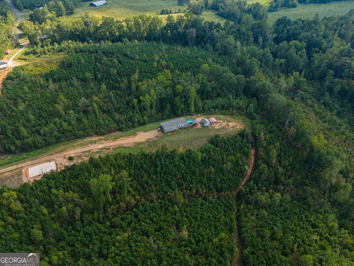 28 County Road 63 Ranburne - Photo 43