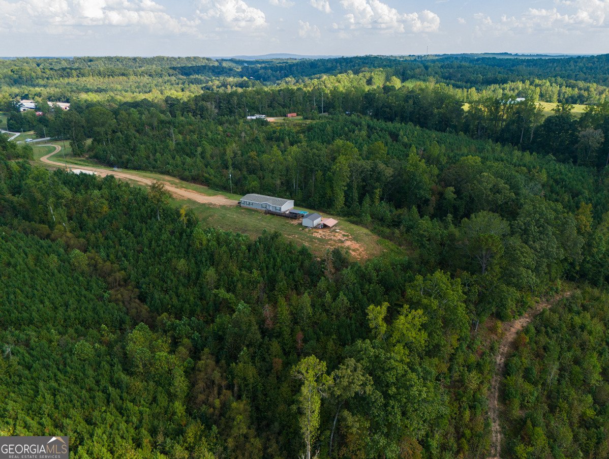 28 County Road 63 Ranburne - Photo 44