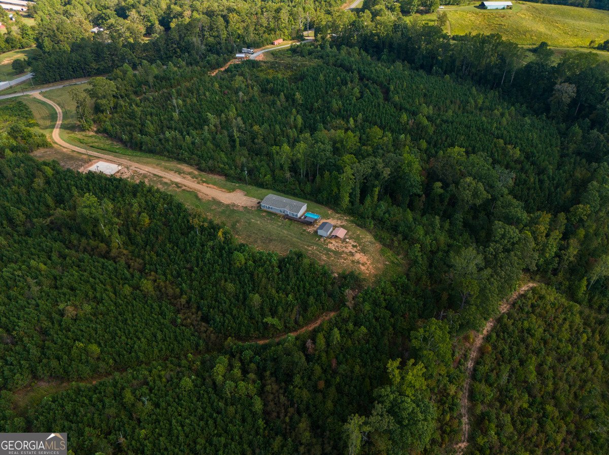 28 County Road 63 Ranburne - Photo 45