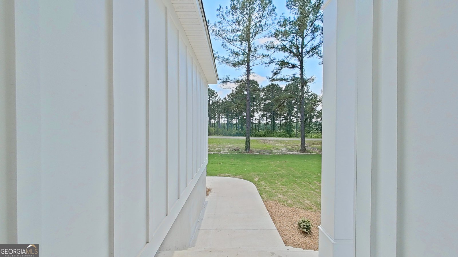 270 Woodridge Lane Cairo - Photo 45