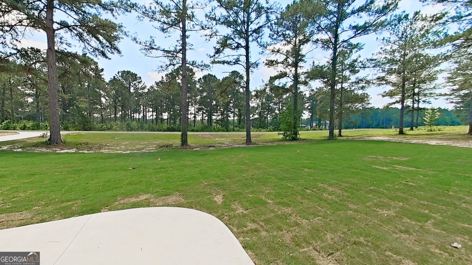 270 Woodridge Lane Cairo - Photo 46
