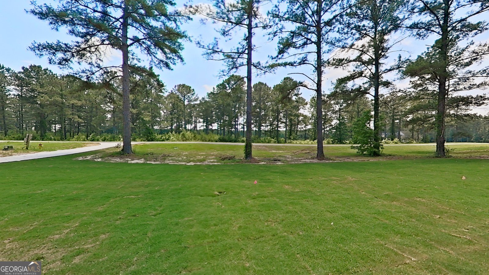 270 Woodridge Lane Cairo - Photo 47