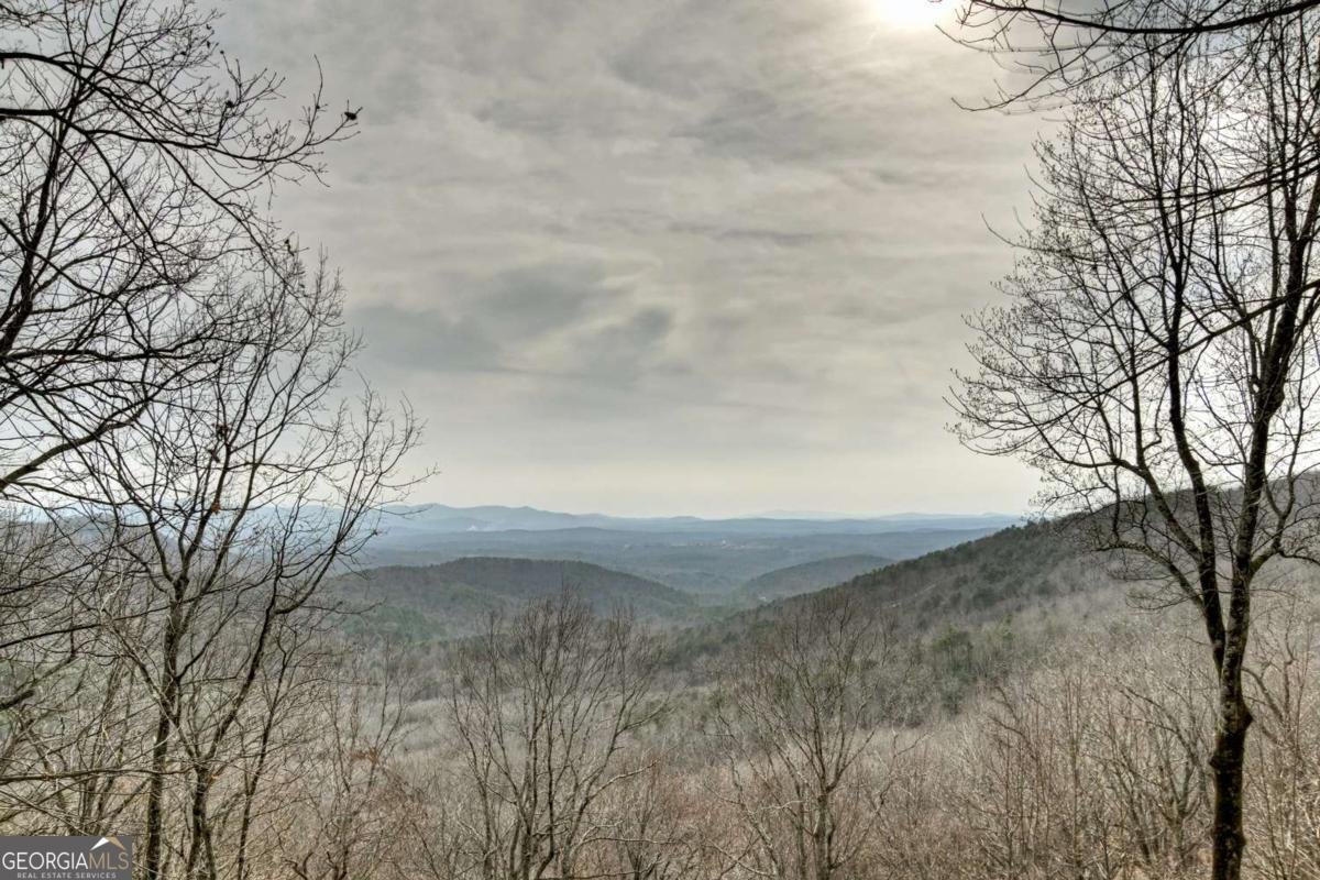 1186 Walnut Ridge Ellijay - Photo 17