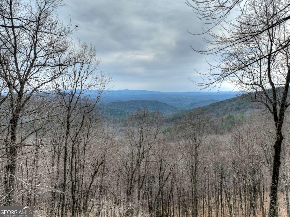 1186 Walnut Ridge Ellijay - Photo 30