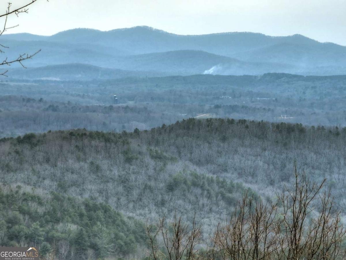 1186 Walnut Ridge Ellijay - Photo 31