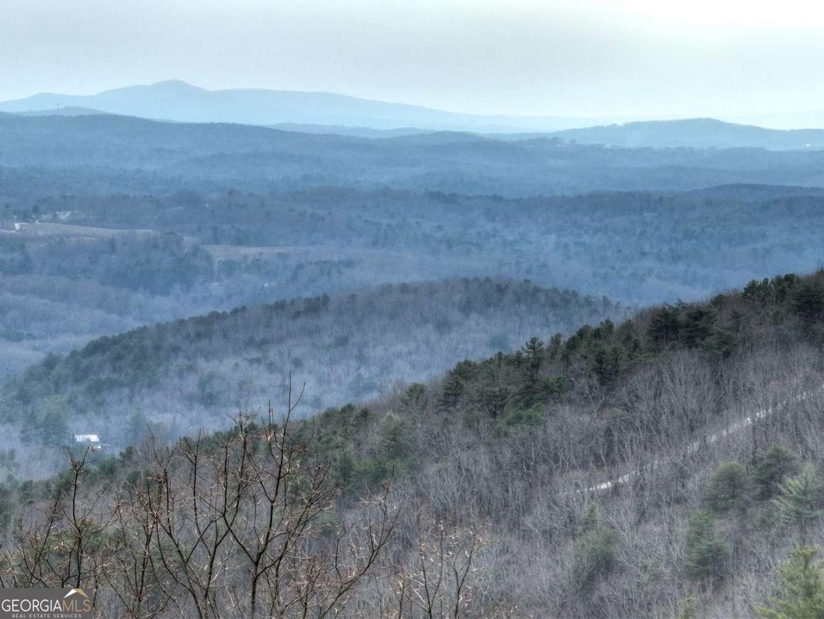 1186 Walnut Ridge Ellijay - Photo 33