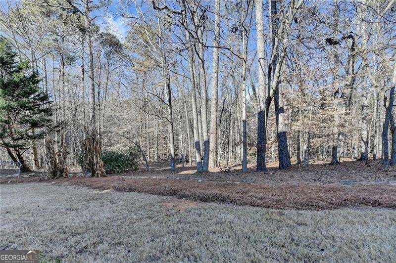 1255 Beacon Hill Crossing Alpharetta - Photo 60