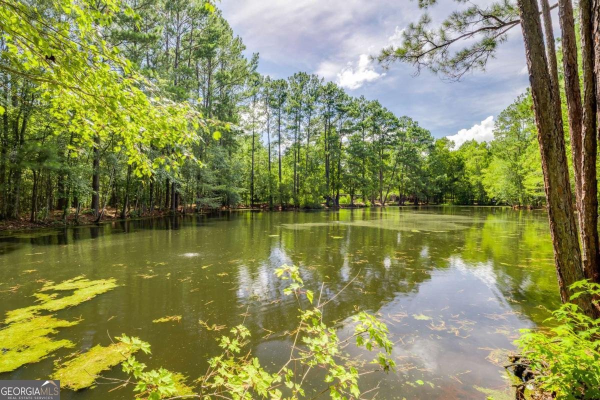 182 Old River Road Bloomingdale - Photo 58