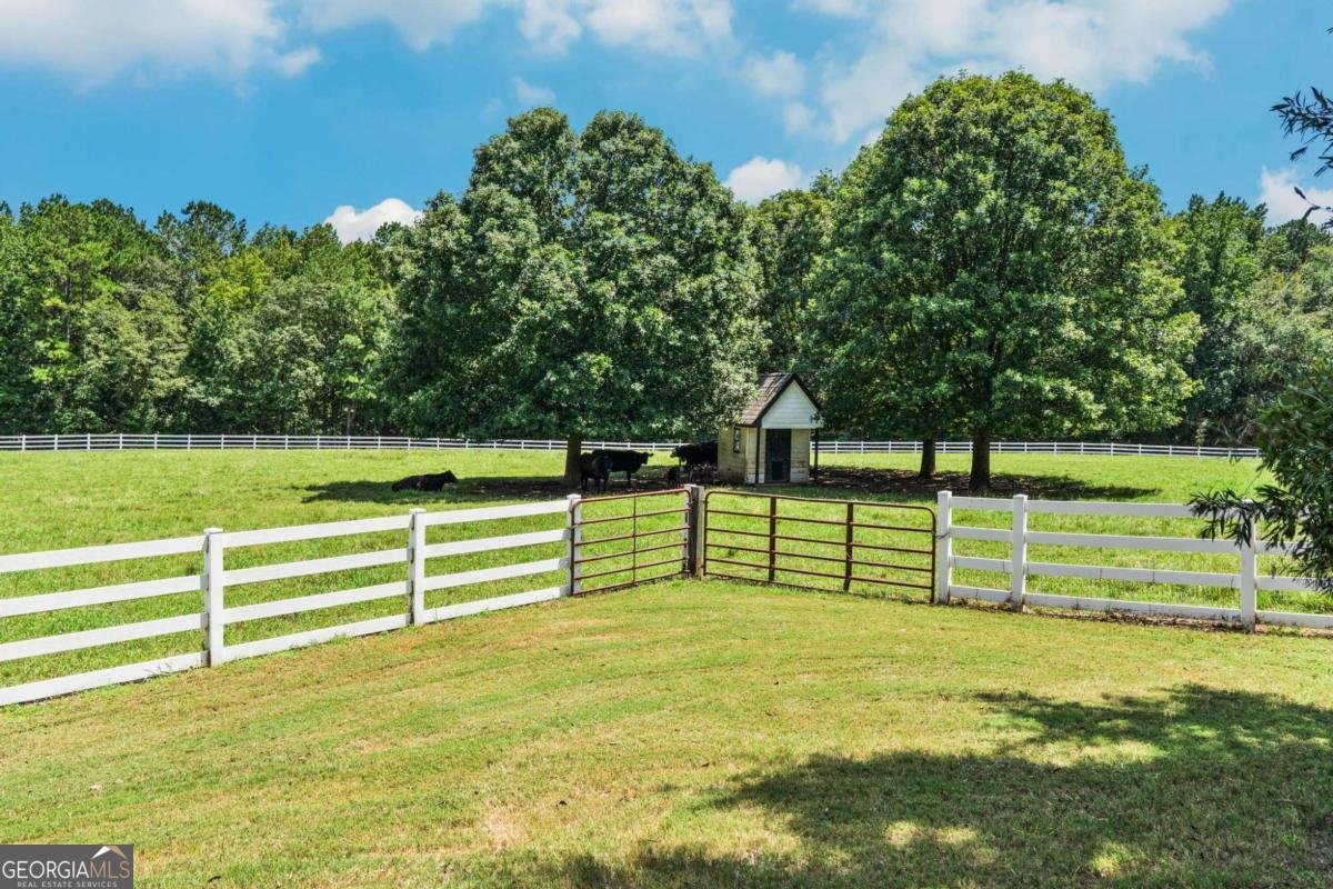 956 Al Roberts Road Senoia - Photo 10