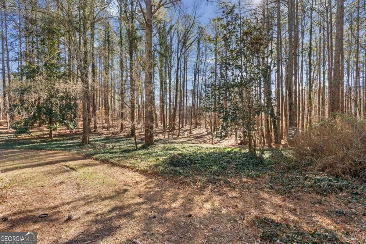 4619 Knollwood Drive Acworth - Photo 46