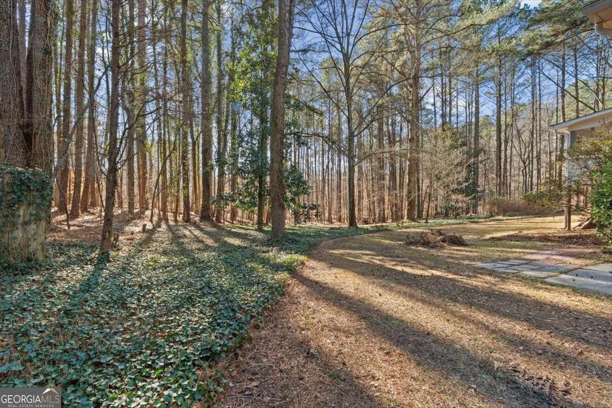 4619 Knollwood Drive Acworth - Photo 51