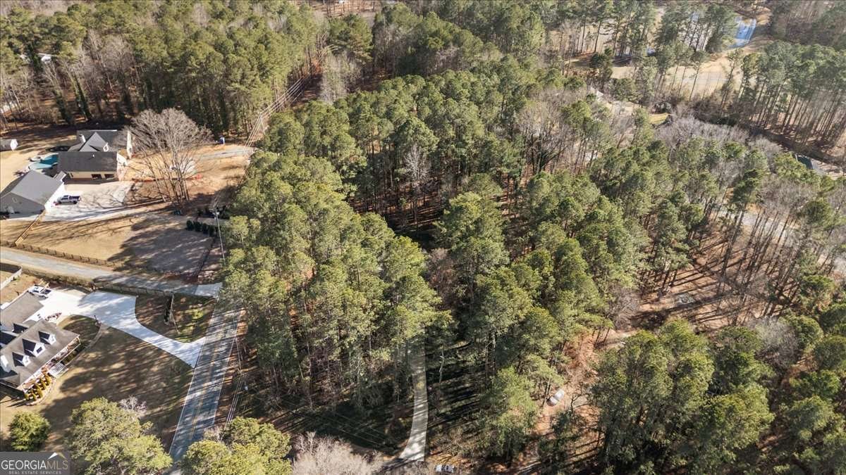 4619 Knollwood Drive Acworth - Photo 53