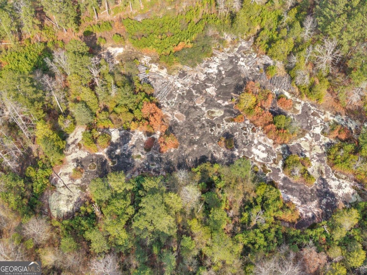 481 Turner Road Concord - Photo 43