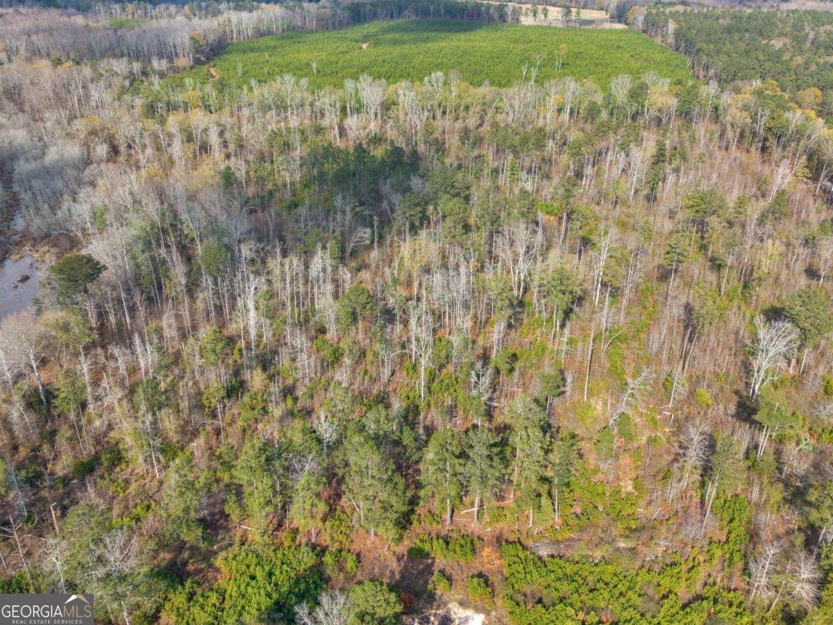 481 Turner Road Concord - Photo 44