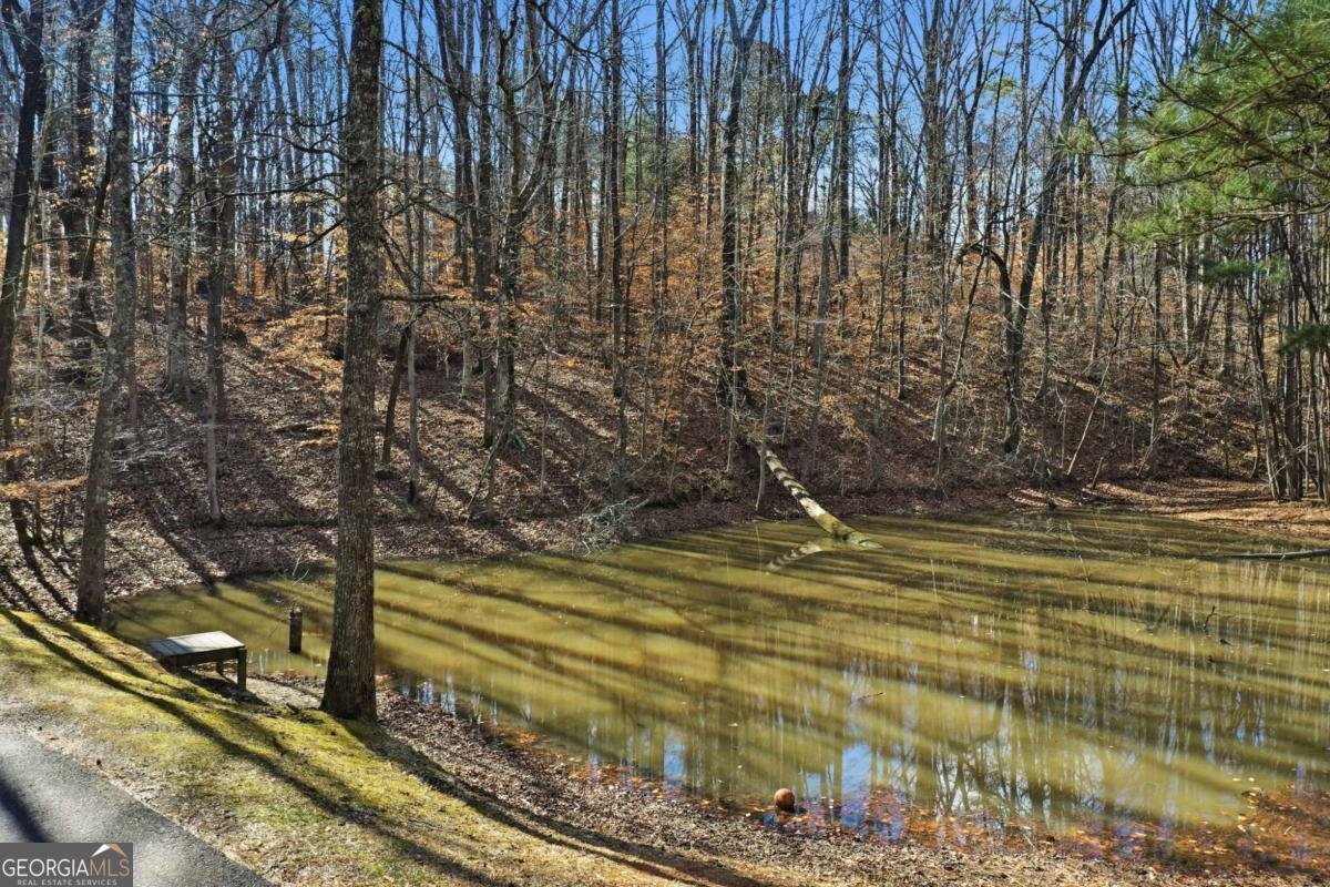 437 Twin Lakes Drive Canton - Photo 31