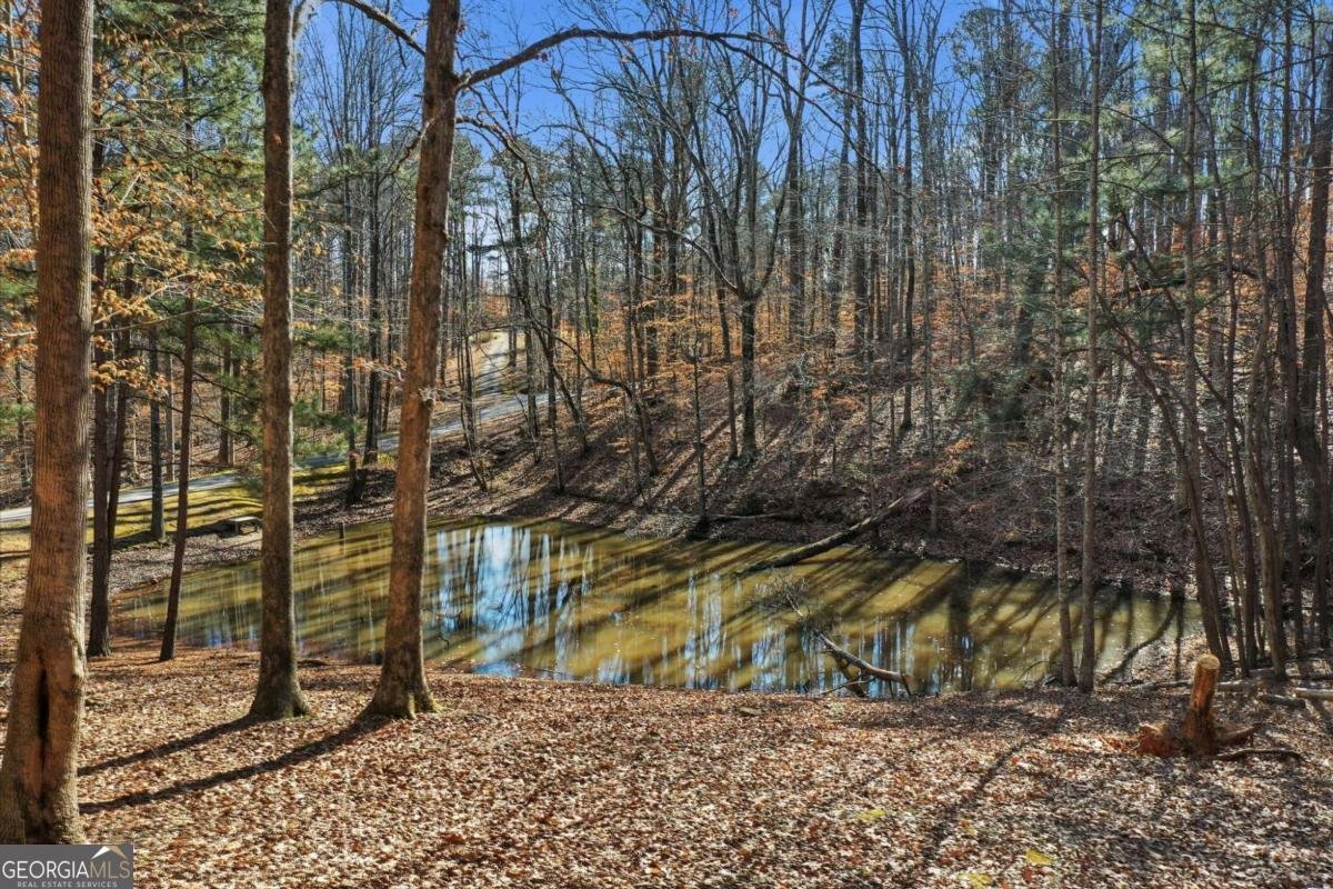 437 Twin Lakes Drive Canton - Photo 32