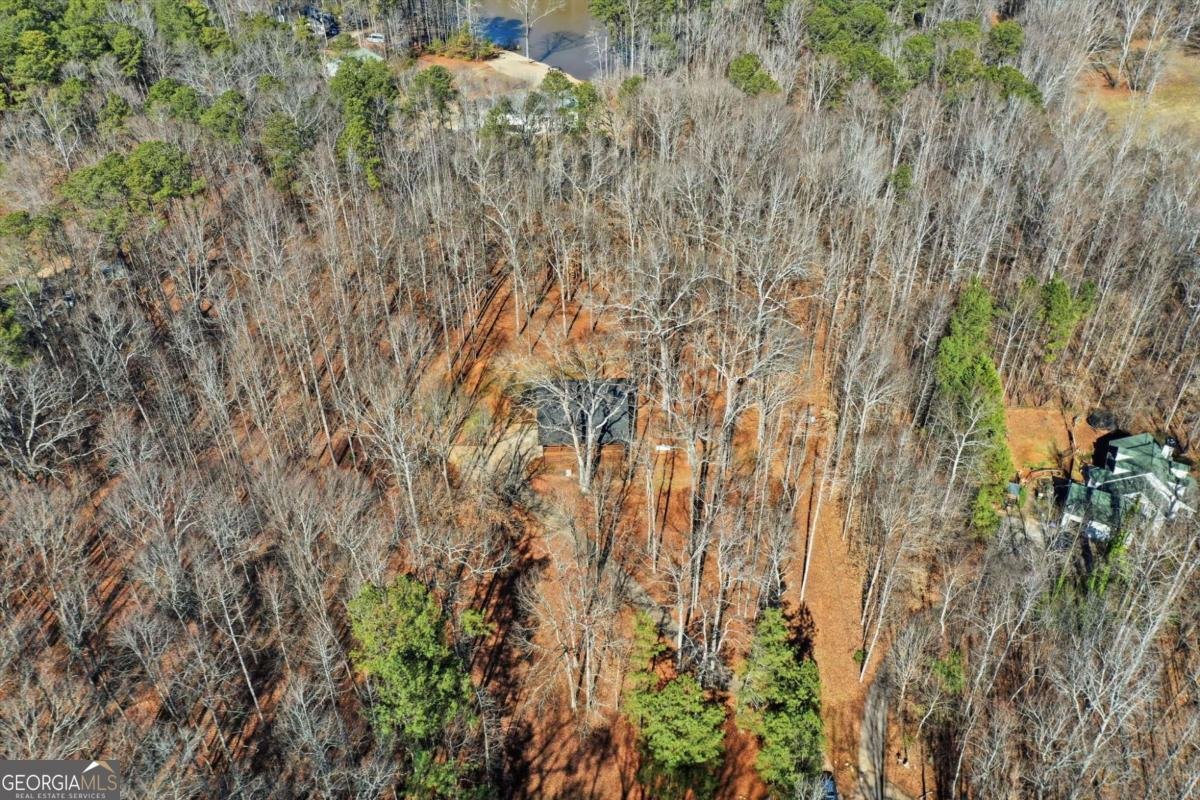 437 Twin Lakes Drive Canton - Photo 34