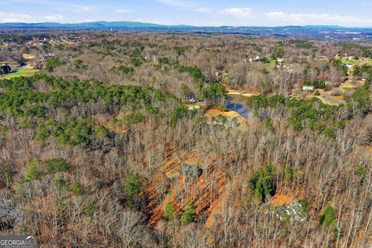 437 Twin Lakes Drive Canton - Photo 36