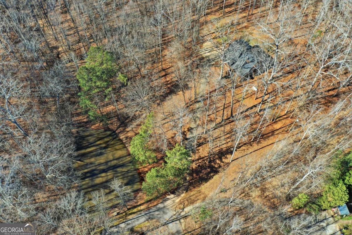 437 Twin Lakes Drive Canton - Photo 37