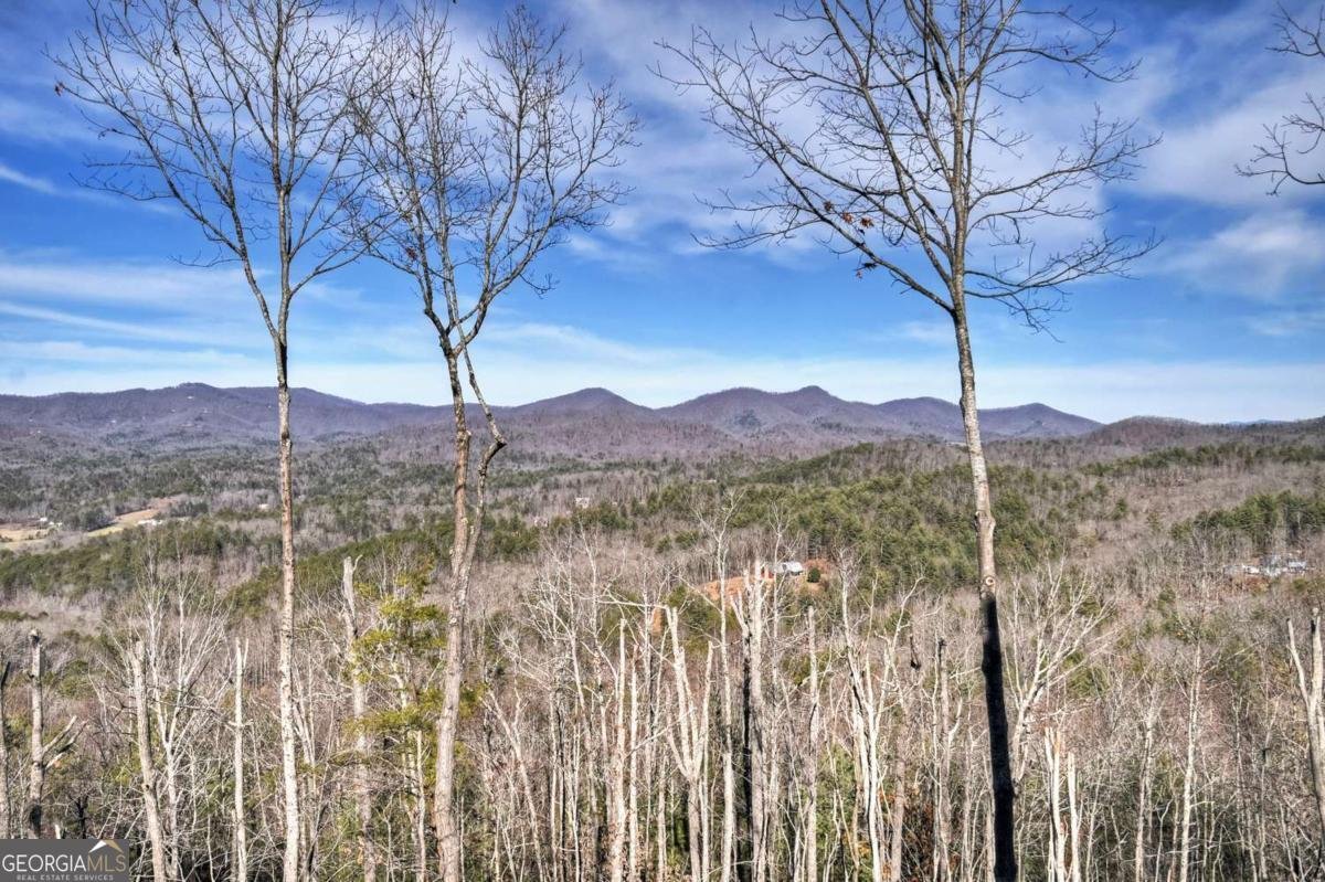 187 Mahoosec Trail Mineral Bluff - Photo 37