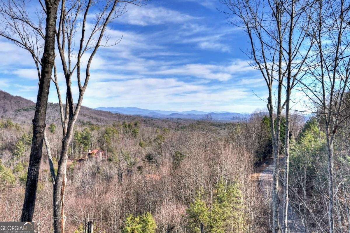 187 Mahoosec Trail Mineral Bluff - Photo 38