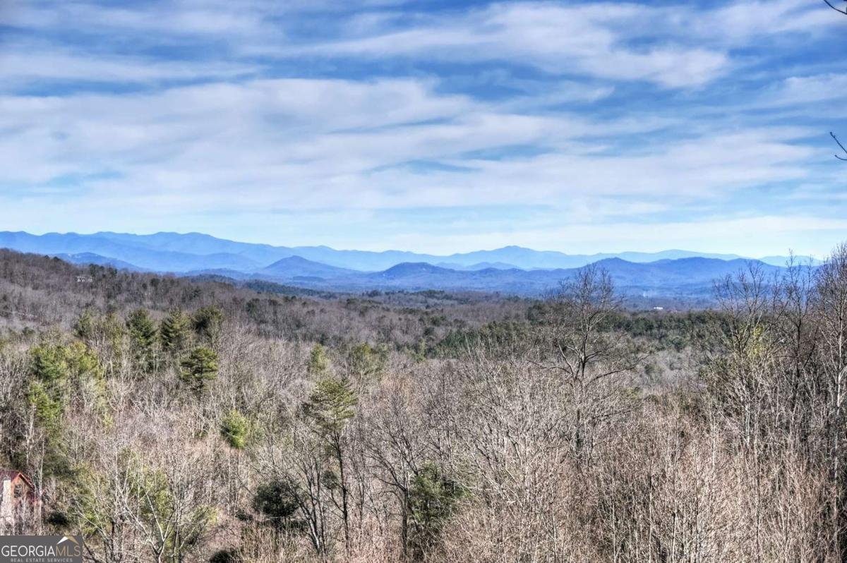 187 Mahoosec Trail Mineral Bluff - Photo 39