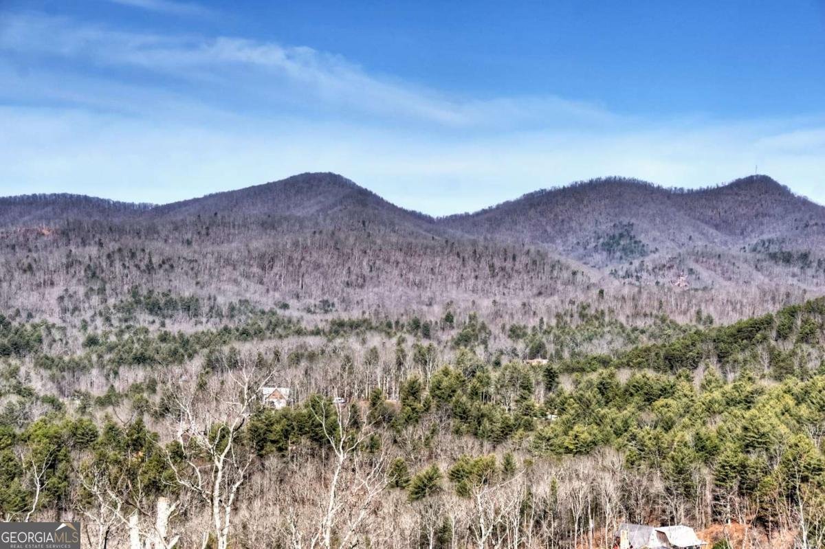 187 Mahoosec Trail Mineral Bluff - Photo 40