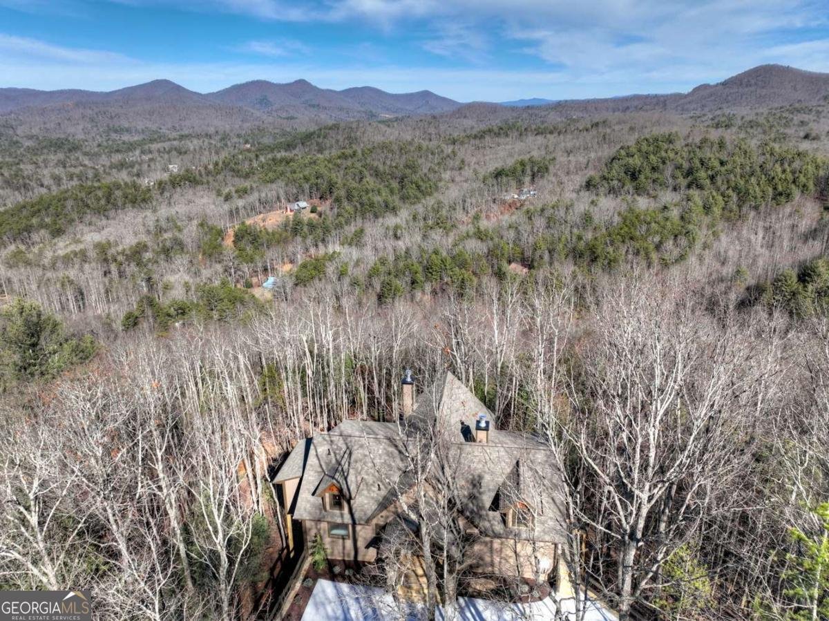 187 Mahoosec Trail Mineral Bluff - Photo 58