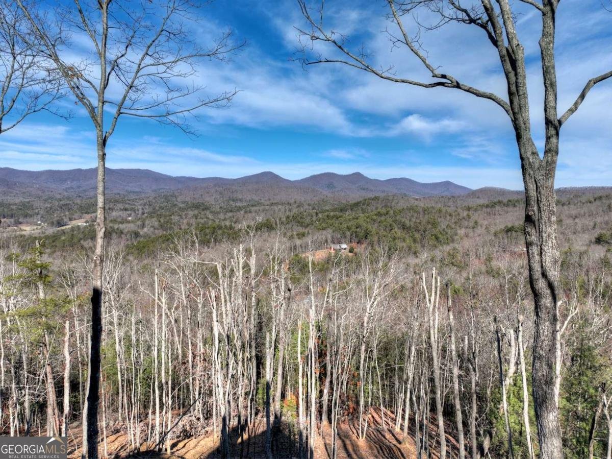 187 Mahoosec Trail Mineral Bluff - Photo 59