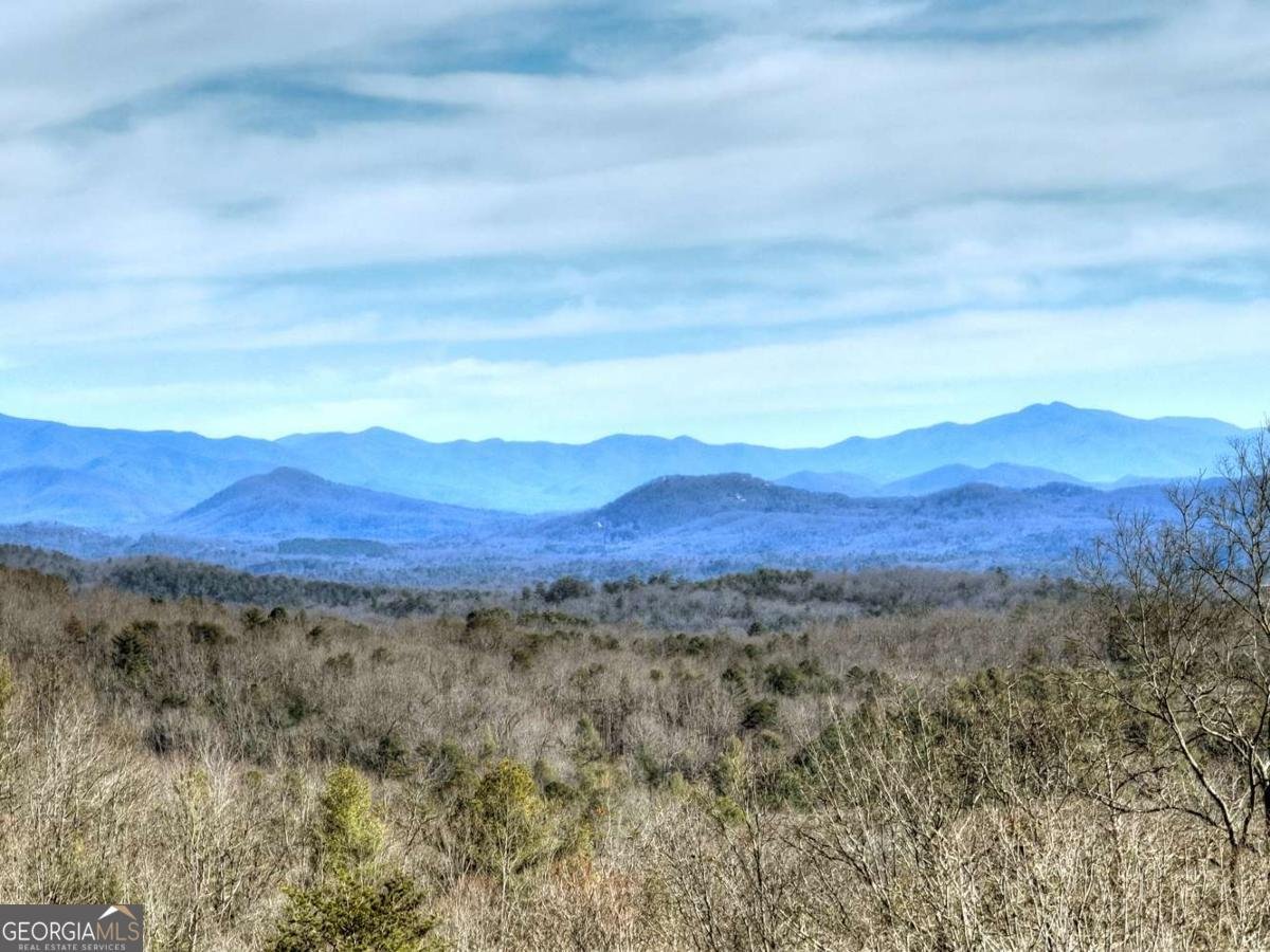 187 Mahoosec Trail Mineral Bluff - Photo 60