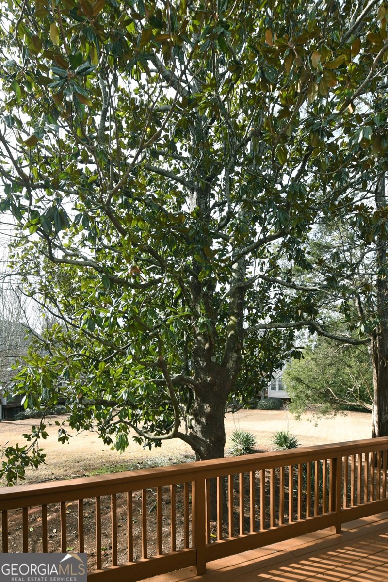 1507 Legacy Cove Lane Roswell - Photo 44