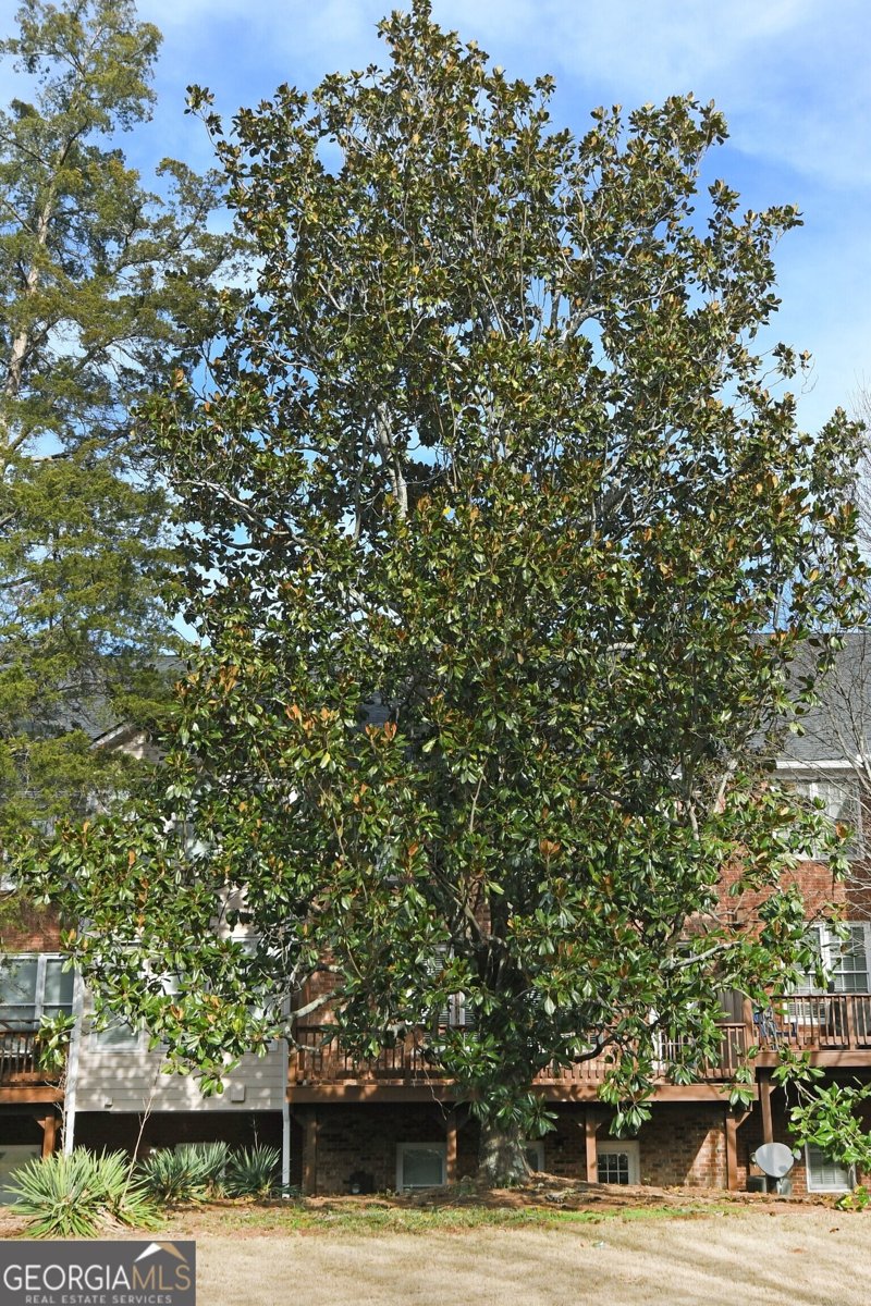 1507 Legacy Cove Lane Roswell - Photo 50